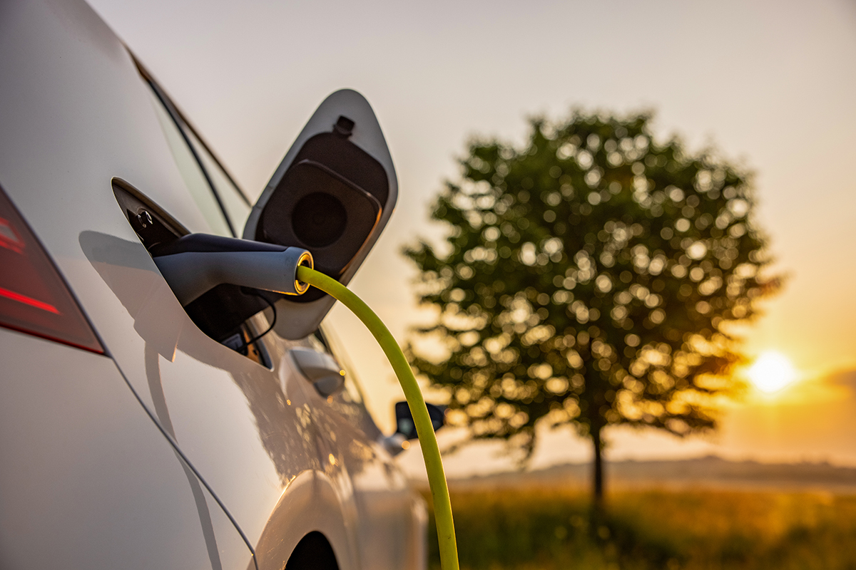 A white electric car is charging with a yellow cable at sunset in a grassy field, with a tree and the sun visible in the background.