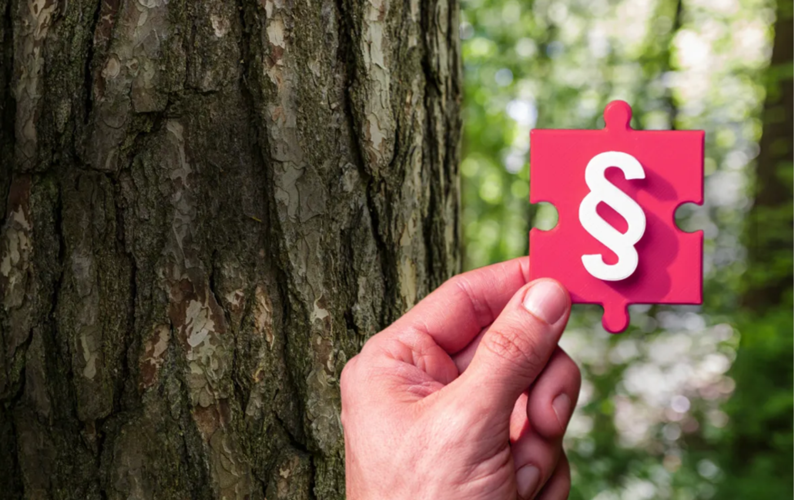 A hand holds a red puzzle piece with a white paragraph (§) symbol in front of a tree trunk, with greenery and blurred foliage in the background.